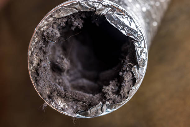 Best Professional Duct Cleaning Services  in New Wilmington, PA