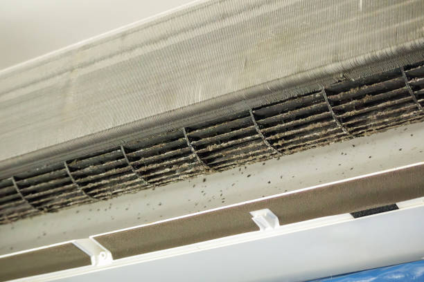 Best Air Quality Test  in New Wilmington, PA